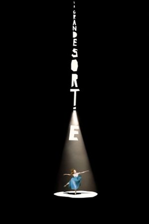 La grande sortie's poster