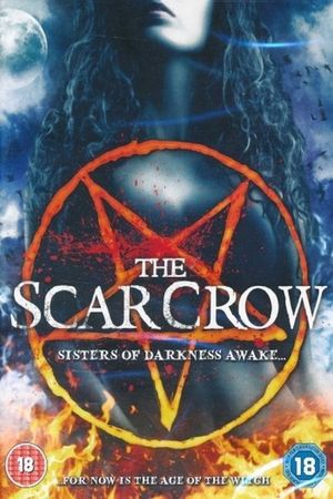 The Scar Crow's poster