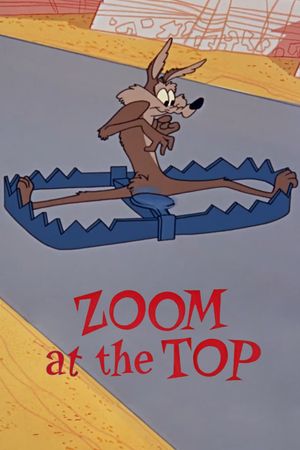 Zoom at the Top's poster