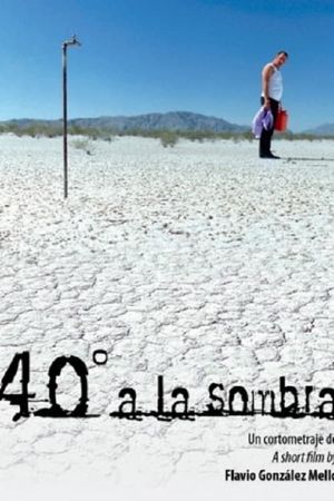 40° a la sombra's poster image