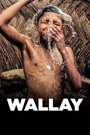 Wallay's poster