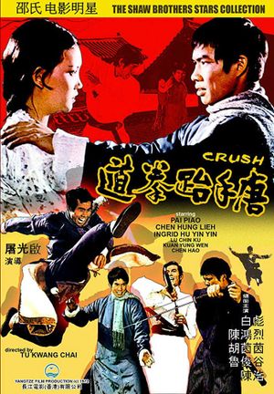 Tang shou tai quan dao's poster
