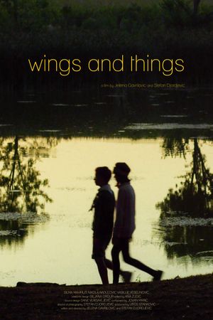 Wings and Things's poster