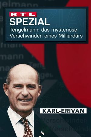 Tengelmann - Das mysteriöse Verschwinden des Milliardärs's poster