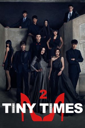 Tiny Times 2.0's poster image