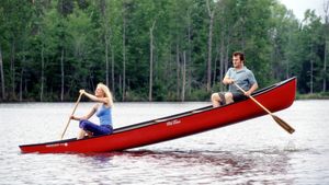 Shallow Hal's poster