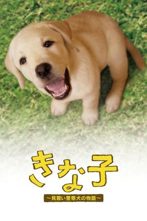 Police Dog Dream's poster