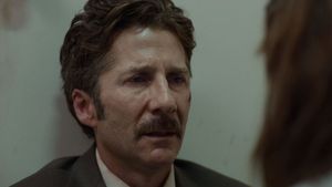 Faults's poster