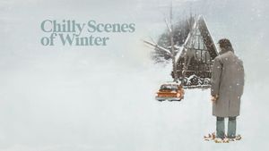 Chilly Scenes of Winter's poster