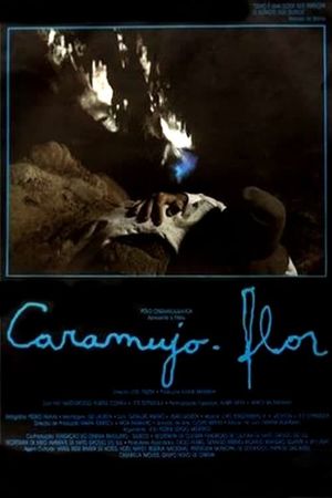 Caramujo-Flor's poster