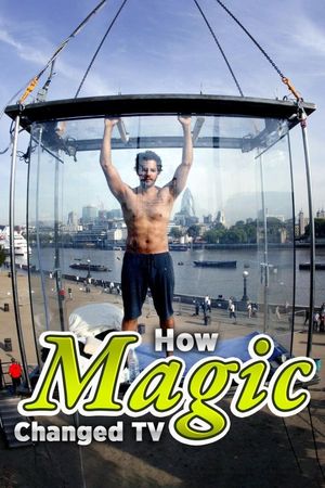 How Magic Changed TV's poster