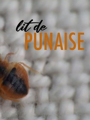 The Bedbug's poster