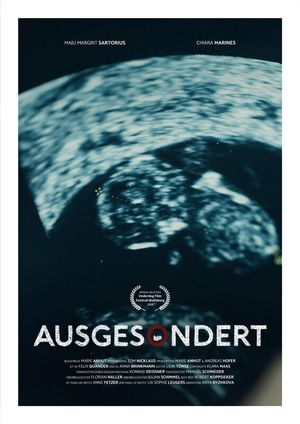 Screened Out's poster