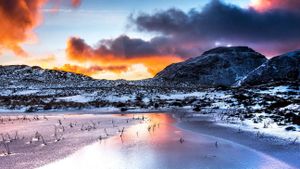 The Lake District: A Wild Year's poster