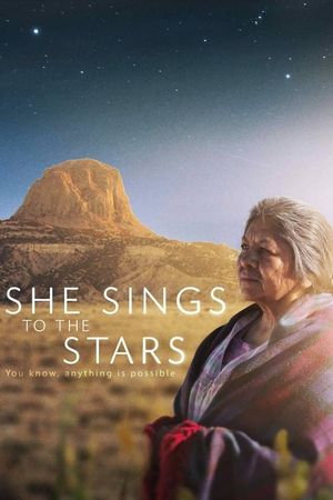 She Sings to the Stars's poster