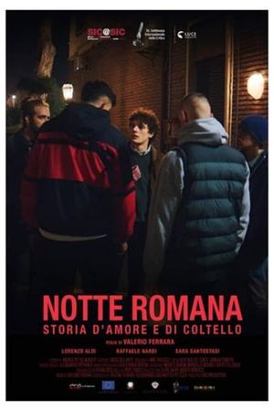 Roman Nights's poster