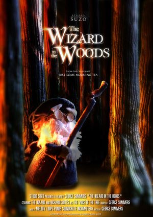 The Wizard in the Woods's poster