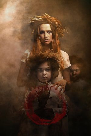The Twin's poster