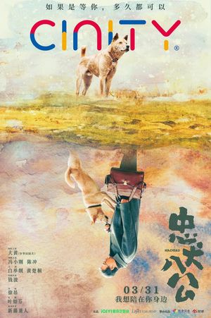 Hachiko's poster