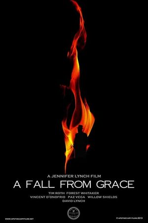 A Fall from Grace's poster image