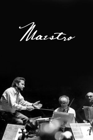 Maestro's poster