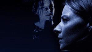 Panic Room's poster