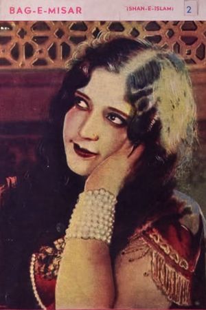 Bag-E-Misar's poster