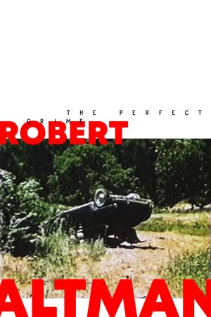 The Perfect Crime's poster