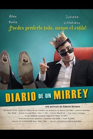 Diario de un Mirrey's poster