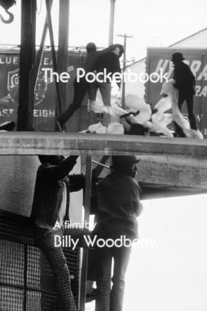 The Pocketbook's poster