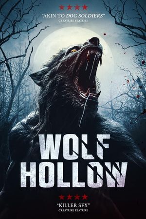 Wolf Hollow's poster