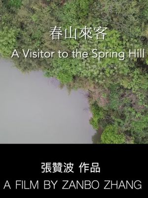A Visitor to the Spring Hill's poster image
