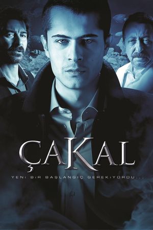 The Jackal's poster