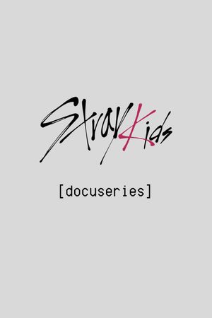 [Stray Kids: Festival Docuseries]'s poster