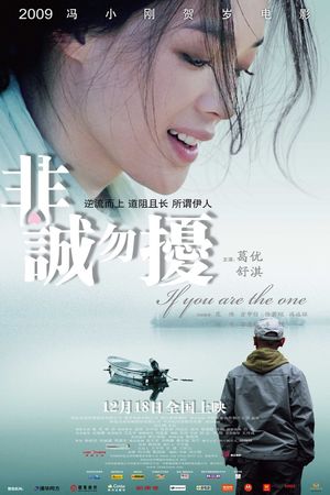 If You Are the One's poster