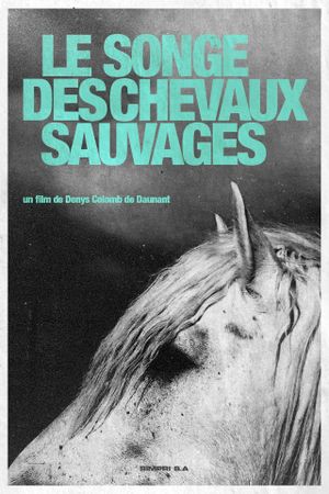 Dream of the Wild Horses's poster