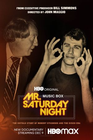 Mr. Saturday Night's poster