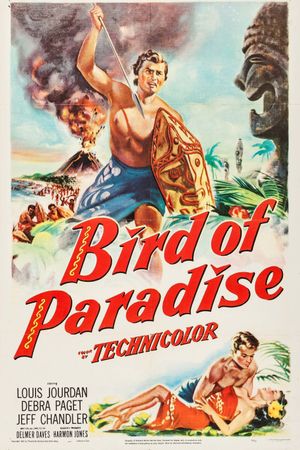 Bird of Paradise's poster image