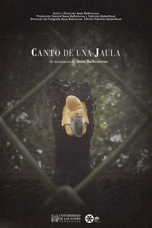 Canto de una jaula's poster image