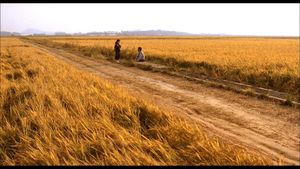 Memories of Murder's poster