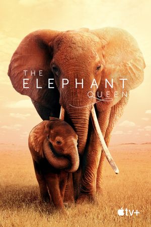 The Elephant Queen's poster