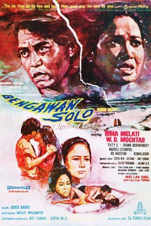 Bengawan solo's poster