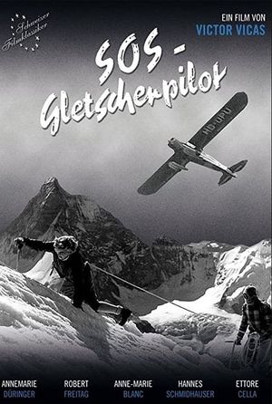 SOS Glacier Pilot's poster image