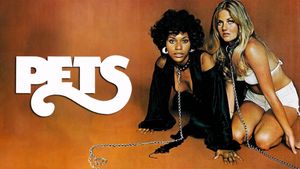Pets's poster