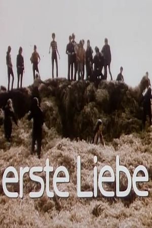 Erste Liebe's poster