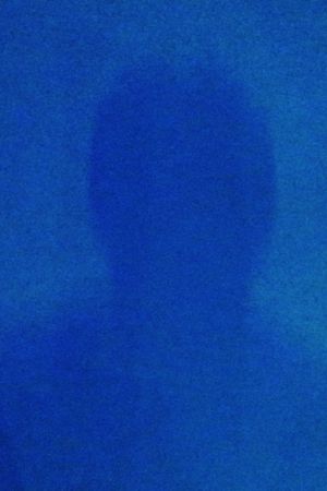 HOW TO DISAPPEAR COMPLETELY's poster