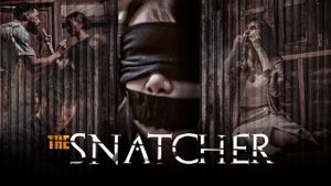 The Snatcher's poster