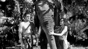 Tarzan and His Mate's poster