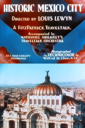 Historic Mexico City's poster