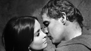 The Appaloosa's poster
